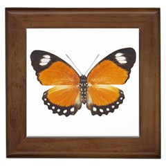 Butterfly Insect Framed Ceramic Tile by CowCowDemo