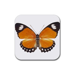 Butterfly Insect Rubber Drinks Coaster (square) by CowCowDemo