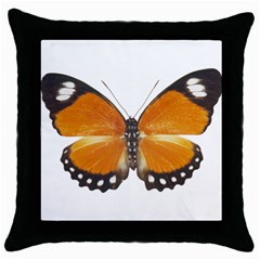 Butterfly Insect Black Throw Pillow Case by CowCowDemo