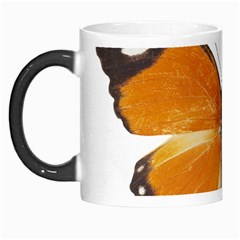 Butterfly Insect Morph Mug