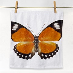 Butterfly Insect Face Towel by CowCowDemo