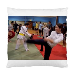 Martial Arts Cushion Case (one Side)