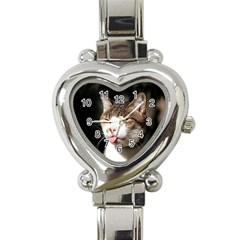 Cat4 Heart Italian Charm Watch by designergaze