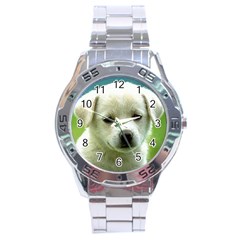 Dog1 Stainless Steel Analogue Men’s Watch