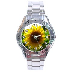 Flower2 Stainless Steel Analogue Men’s Watch