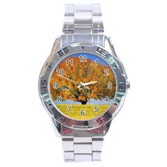 Tree1 Stainless Steel Analogue Men’s Watch