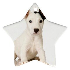 55190649 Twin-sided Ceramic Ornament (star)