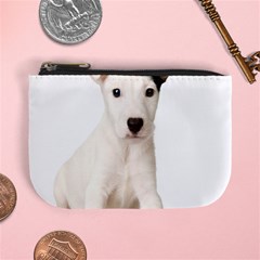 55190649 Coin Change Purse