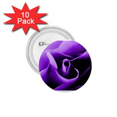 Purple Rose 10 Pack Small Button (round) by PurpleVIP