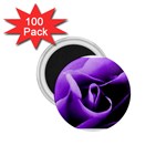 Purple Rose 100 Pack Small Magnet (Round) Front