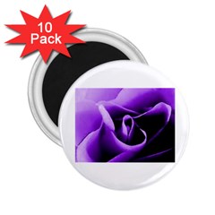 Purple Rose 10 Pack Regular Magnet (round)