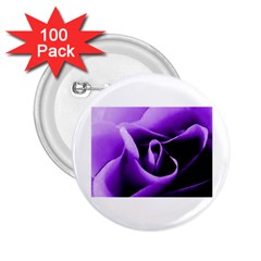 Purple Rose 100 Pack Regular Button (round)