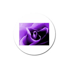 Purple Rose Large Sticker Magnet (round) by PurpleVIP