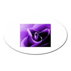 Purple Rose Large Sticker Magnet (oval)