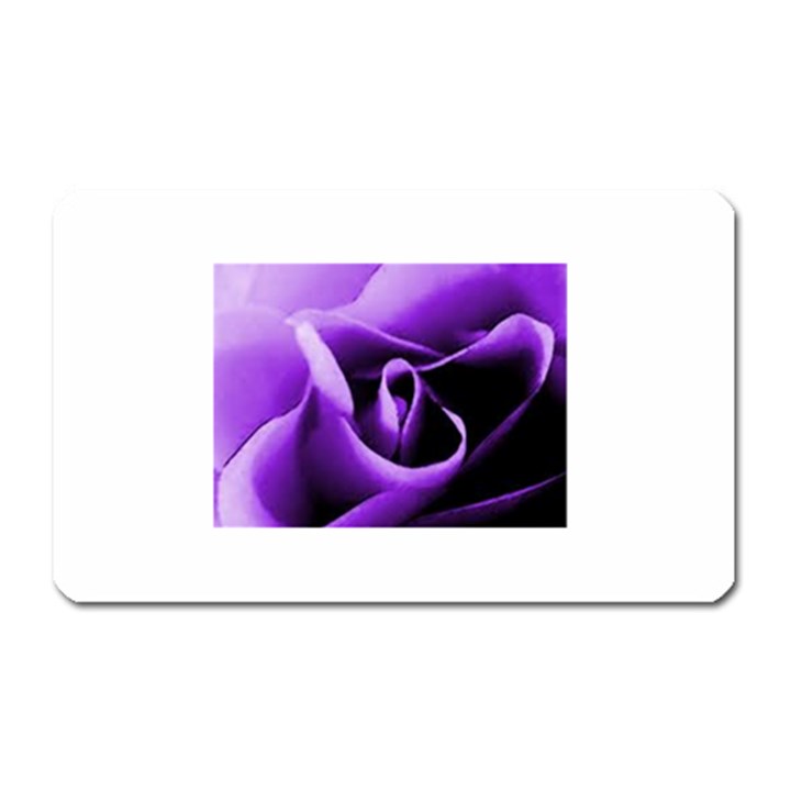 Purple Rose Large Sticker Magnet (Rectangle)