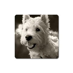 Westie Puppy Large Sticker Magnet (square) by Koalasandkangasplus