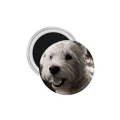 Westie Puppy Small Magnet (round)