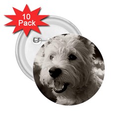 Westie Puppy 10 Pack Regular Button (round)