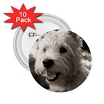 Westie.puppy 10 Pack Regular Button (Round) Front