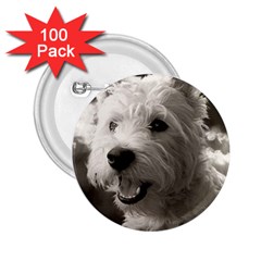 Westie Puppy 100 Pack Regular Button (round)