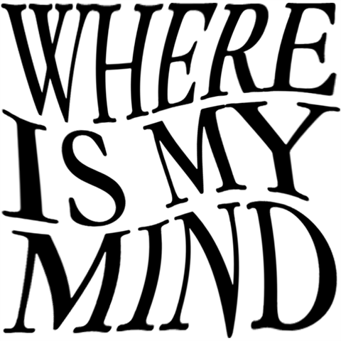 where is my mind logo