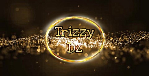 Trizzy DZ logo